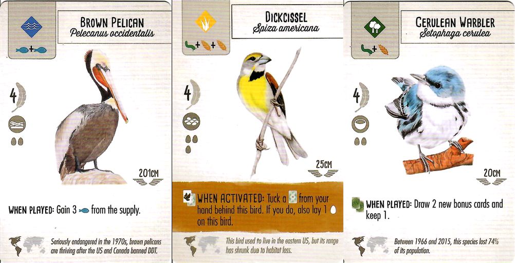 Birds