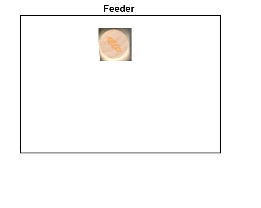 Bird Feeder